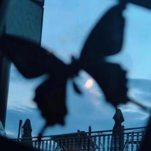 黑哥大鸡巴视频
