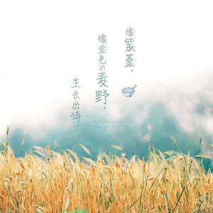 黑哥大鸡巴视频
